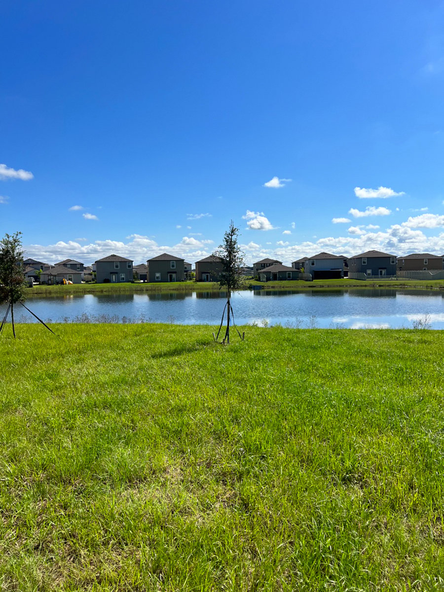 Back Yard with pond view