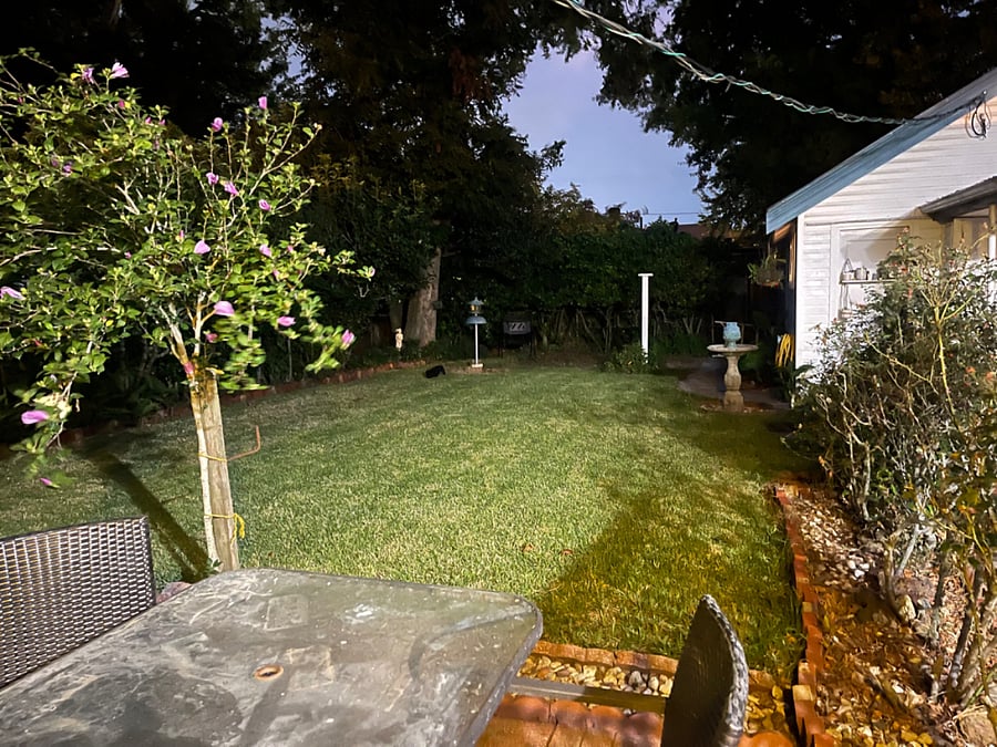 Fenced in backyard