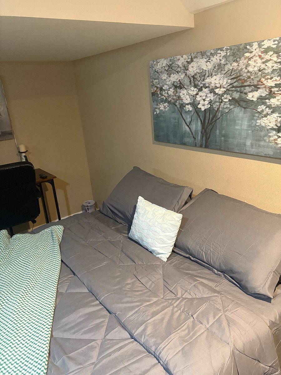 Furnished Finder property 736877_1 photo 13