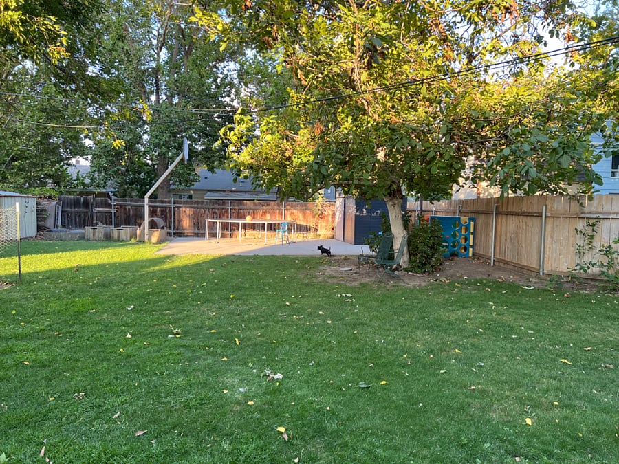 Large back yard with half-court basket ball and trampoline. 