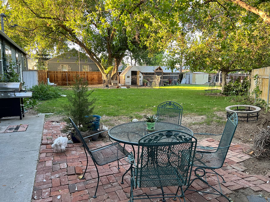 Park-like back yard.