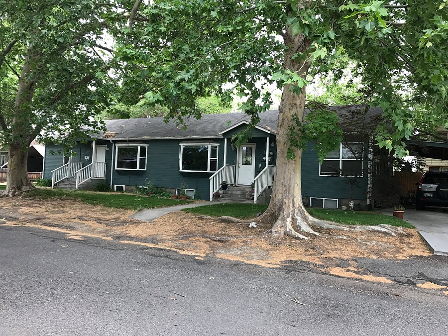 The front of the house