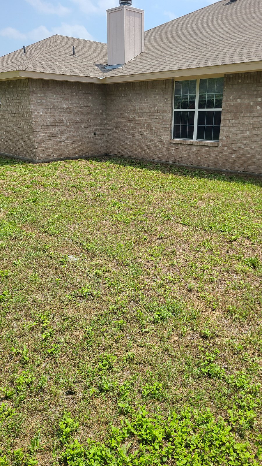 Furnished Finder property 737083_1 photo 49