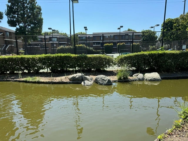 Furnished Finder property 737204_2 photo 15