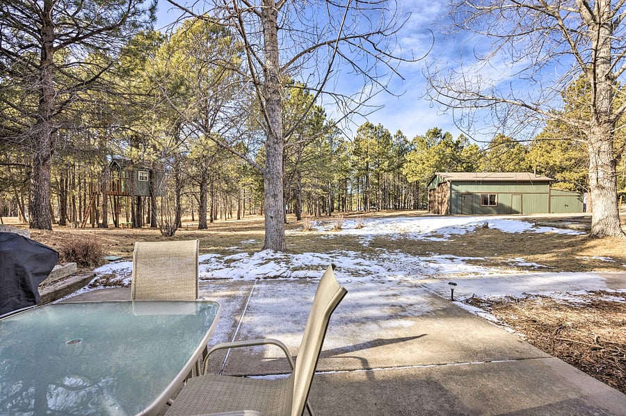Back yard