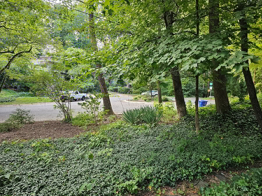 Furnished Finder property 737388_1 photo 14