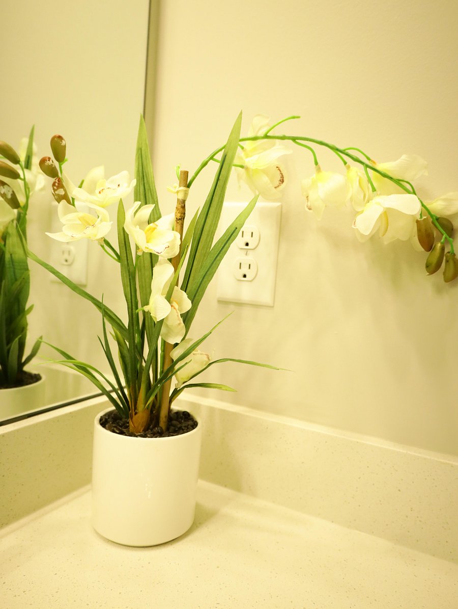 Furnished Finder property 737507_1 photo 21