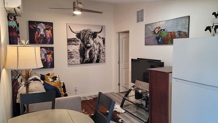 Fun themed colorful wall art.
Conversational pieces.