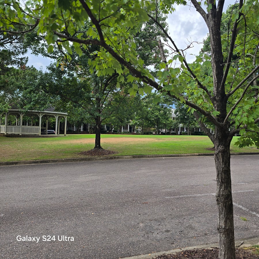 Park in area