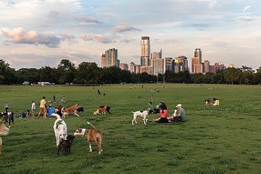 Zilker dog park 15 minutes away