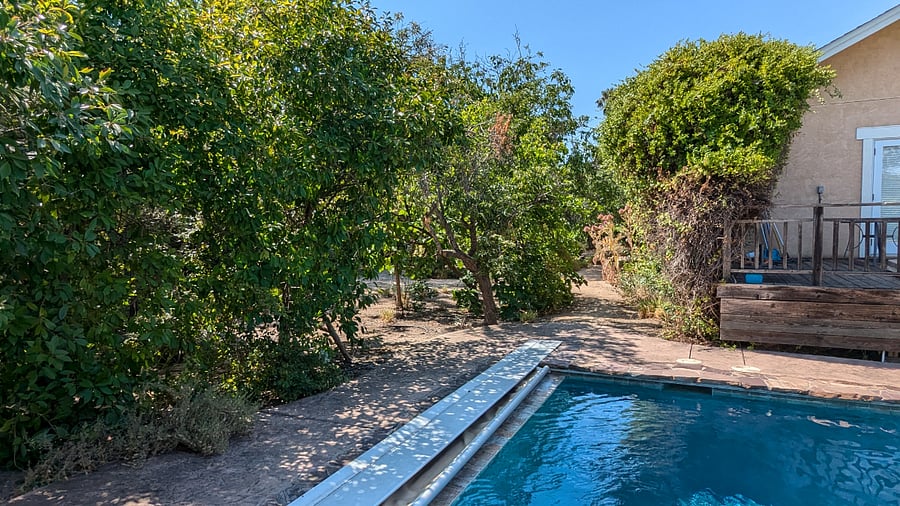 View from pool to garden