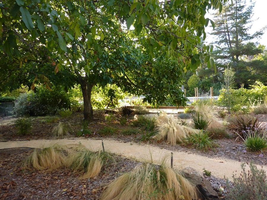 Garden with view of bocce ball court