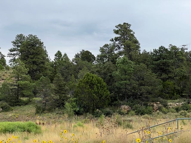 Open Space