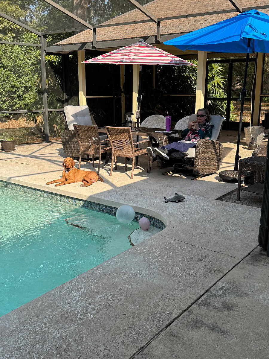 Furnished Finder property 737662_1 photo 3
