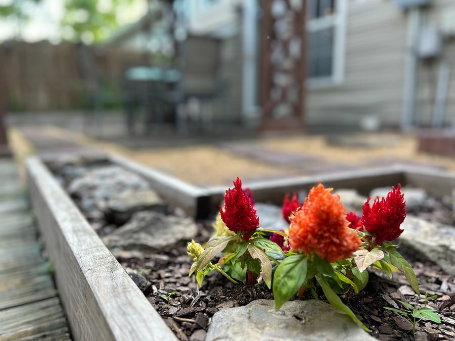 More garden space available to plant your own flowers!