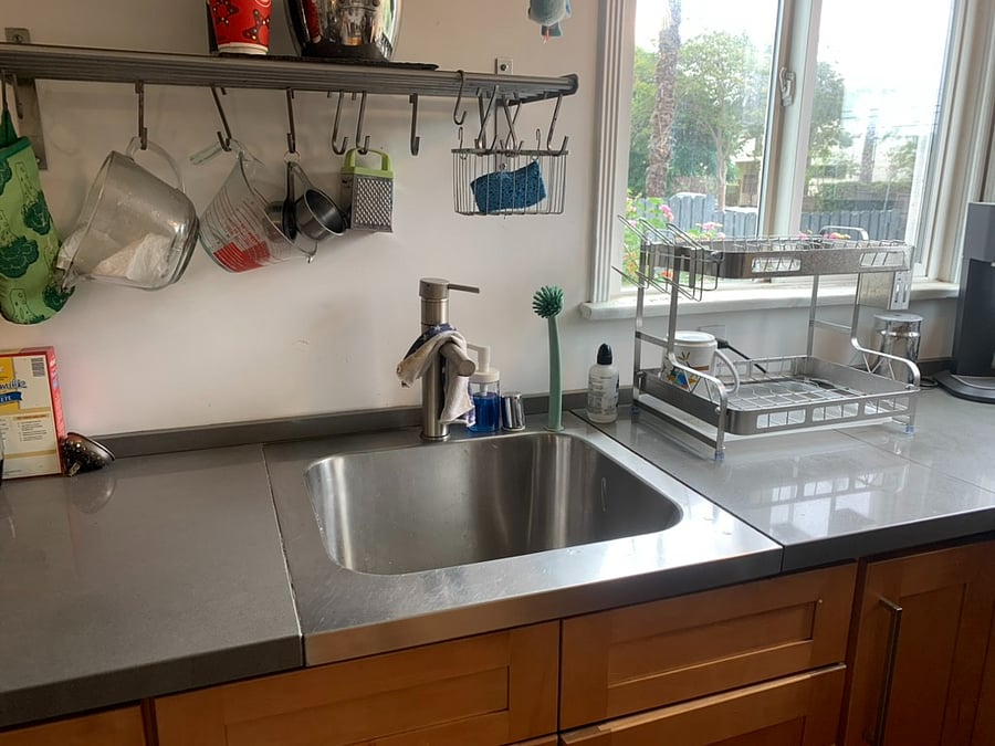 Sink and dish rack