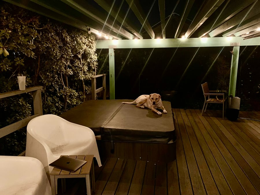 Backyard at night, dog not included.