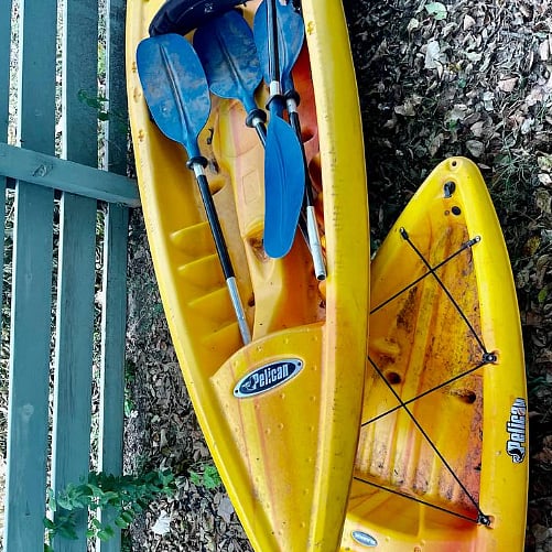 Kayaks for rental use.