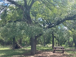 Neighborhood park.