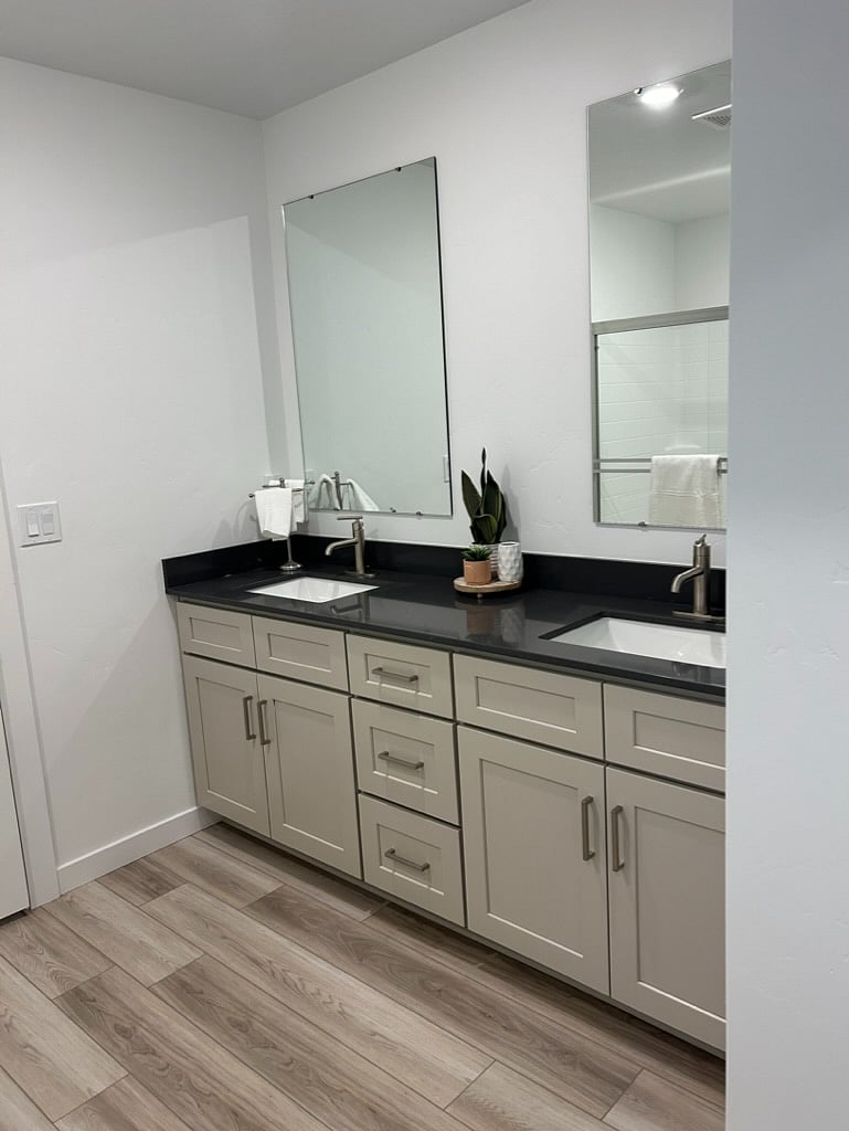 Master Bathroom Vanity