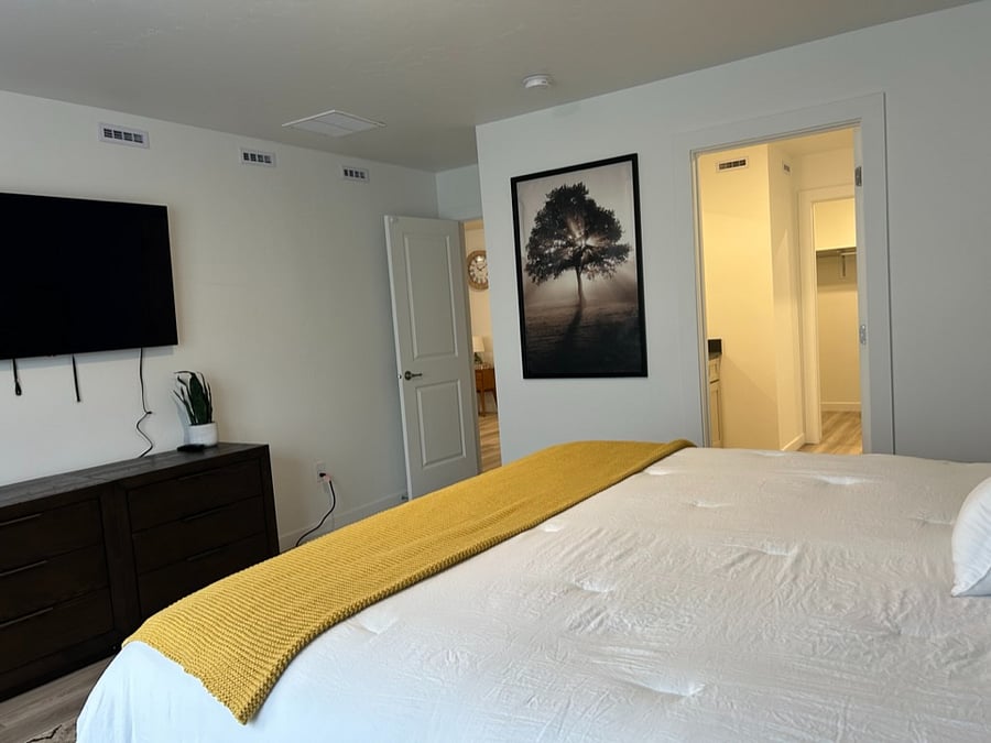 Master Bedroom TV view