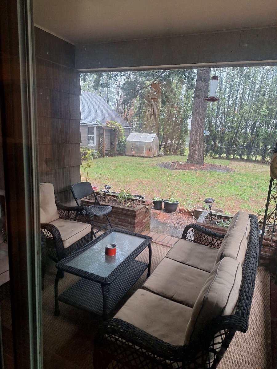 Out door living space and back yard view