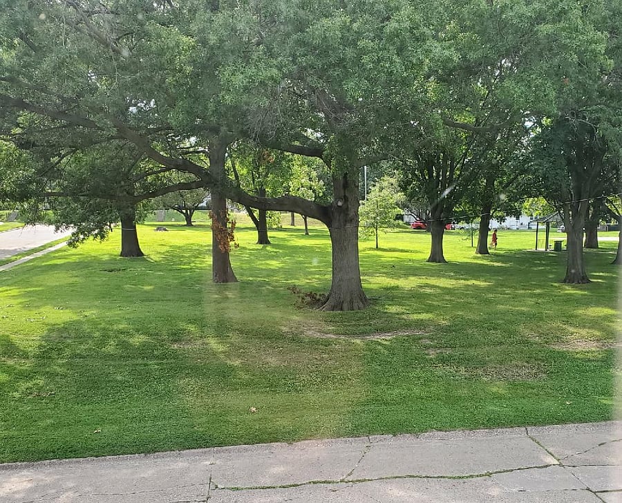 View of Glen Armil Park from upstairs bedroom/office.