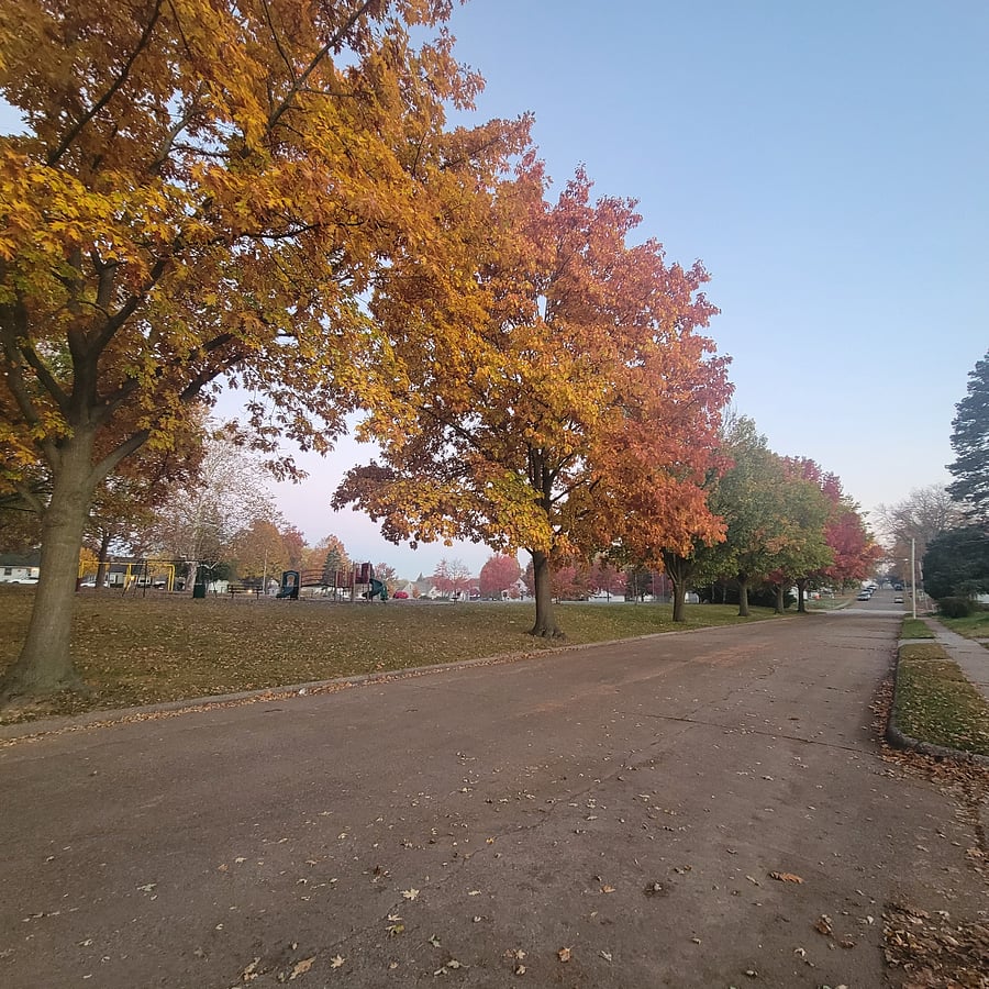 Glen Armil Park is just across the street. The upstairs office/bedroom overlooks it.