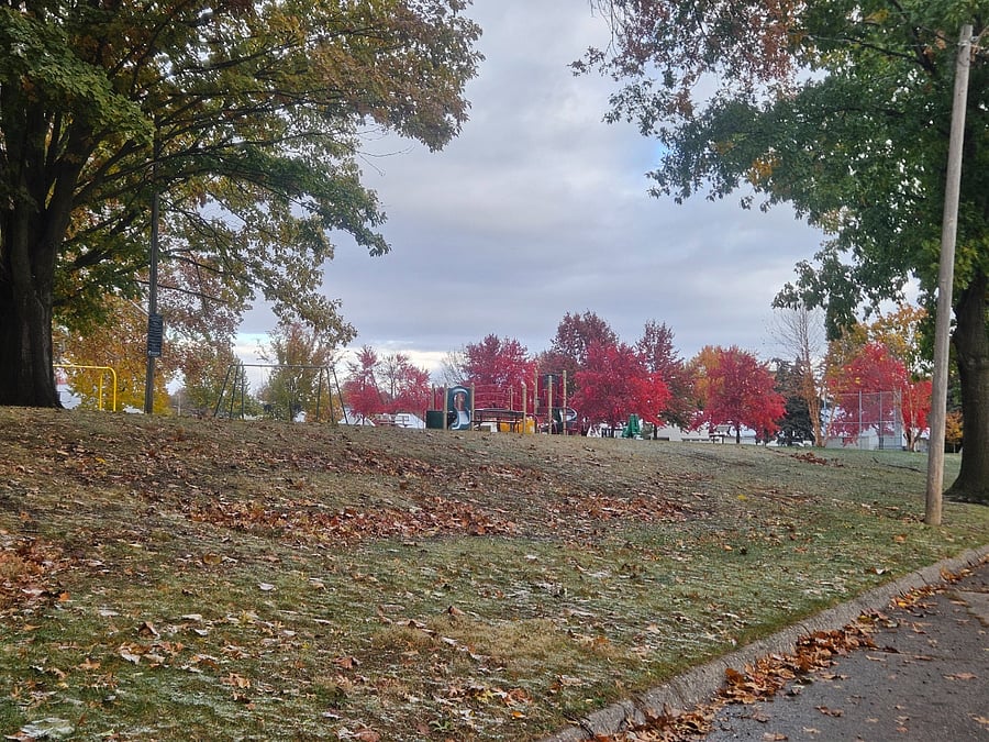 Enjoy the view of beautiful fall colors!