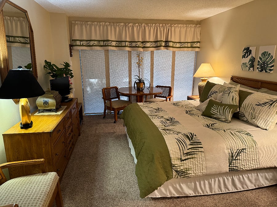 Master bedroom with walk in closet