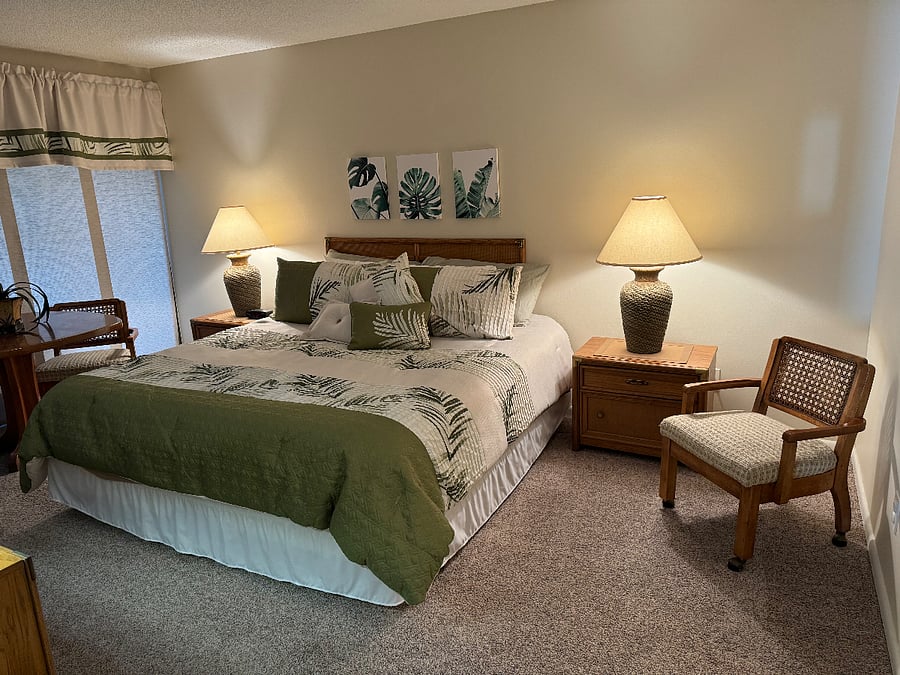 Master bedroom with walk in closet