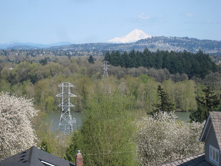 Furnished Finder property 738275_1 photo 17