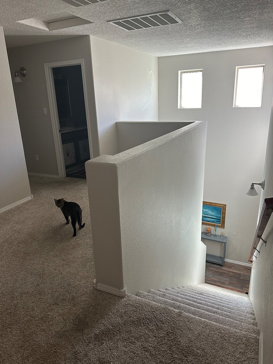 Furnished Finder property 738580_1 photo 20