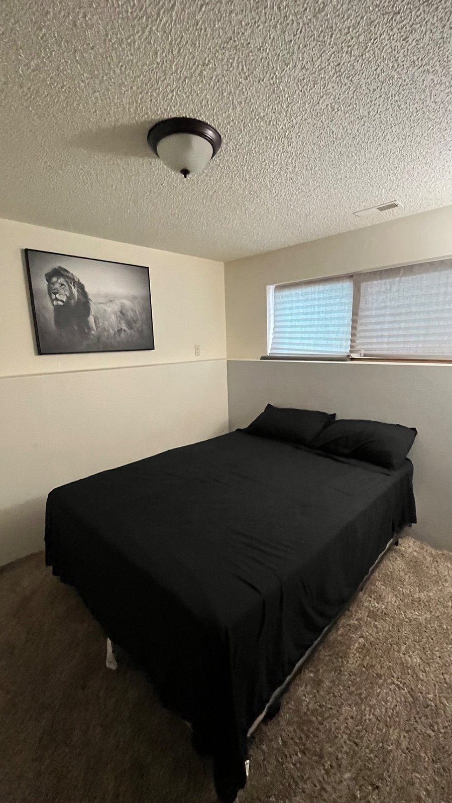 Furnished Finder property 738616_1 photo 4