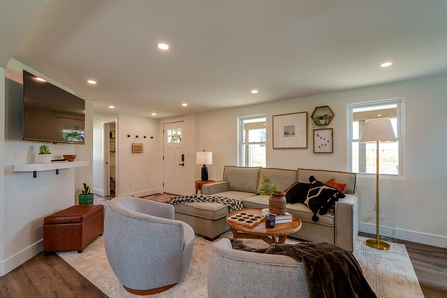Living Area with a queen pull out couch