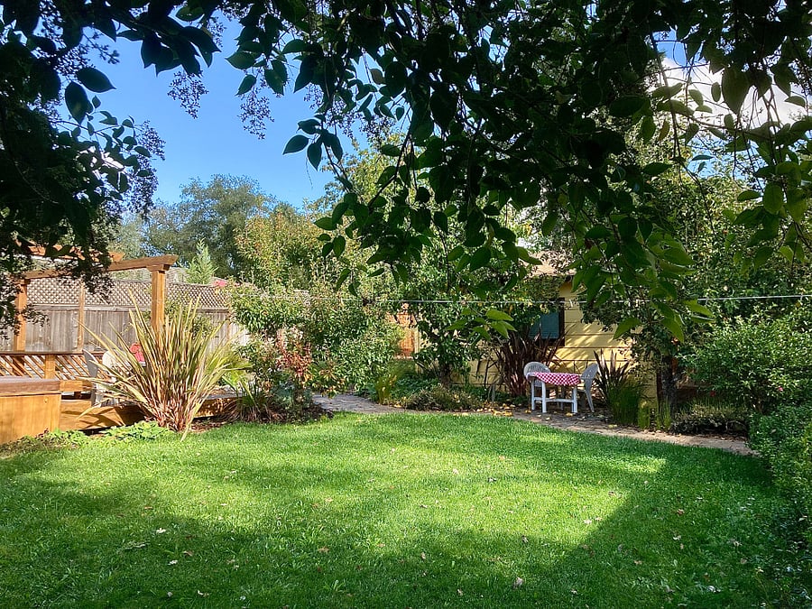Back yard