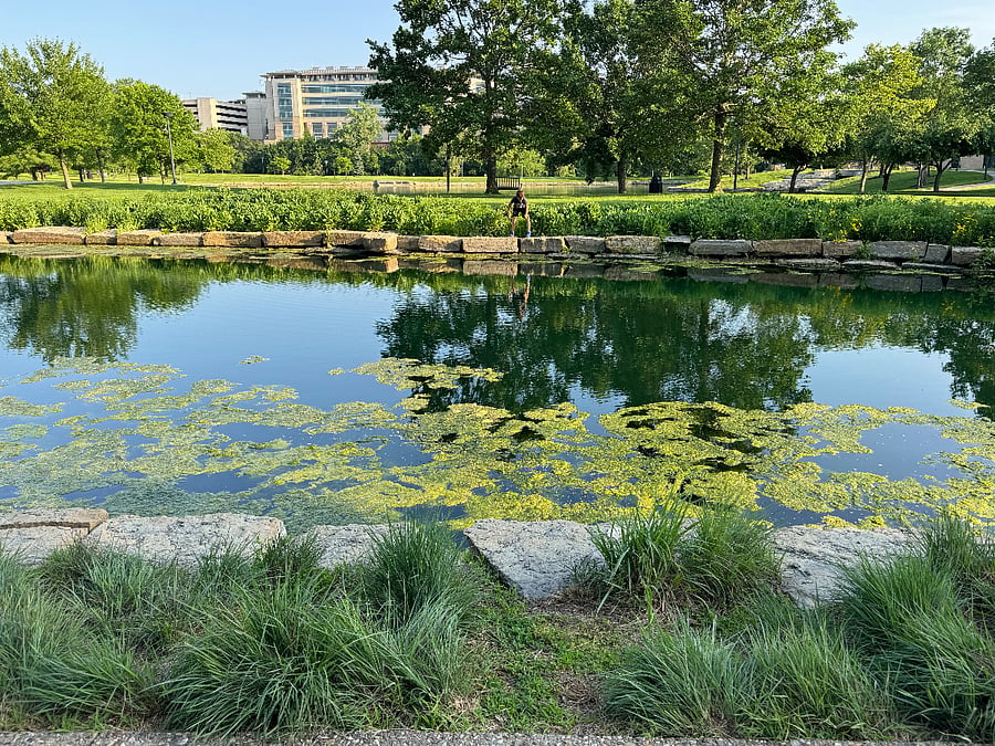 Anita Gorman Conservation center (a couple of blocks away)
