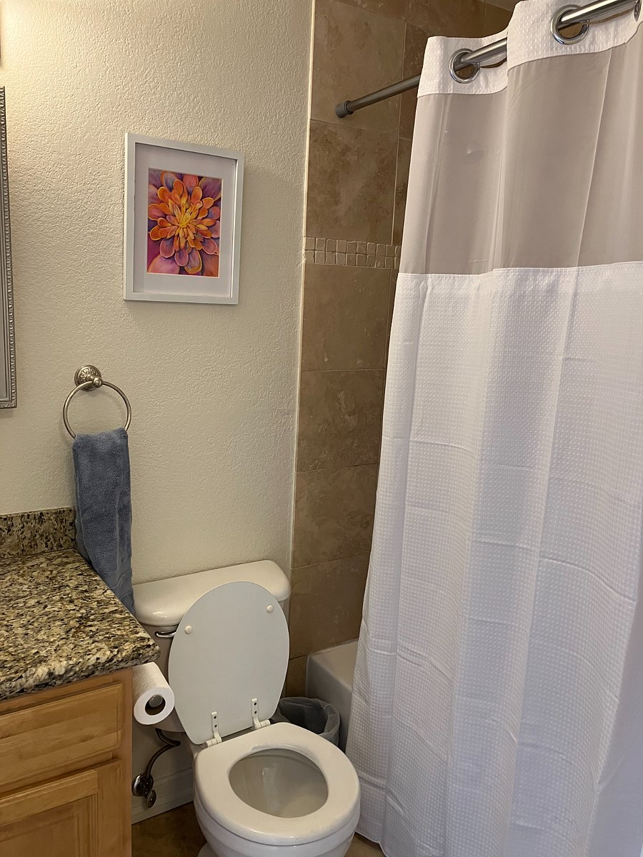 Furnished Finder property 739067_1 photo 14