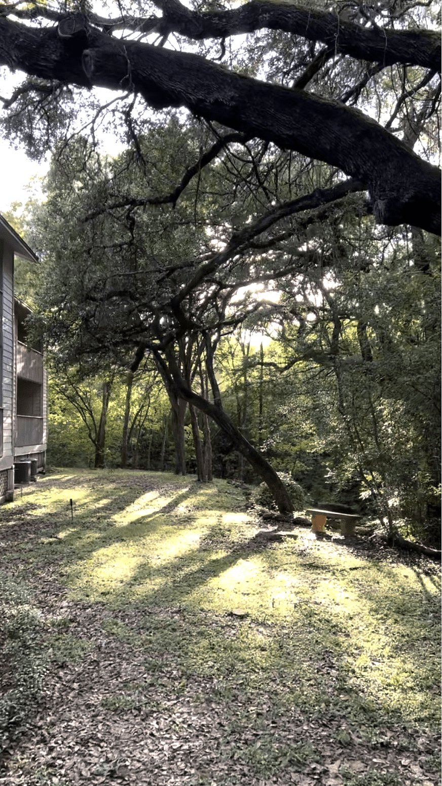 Furnished Finder property 739161_1 photo 31
