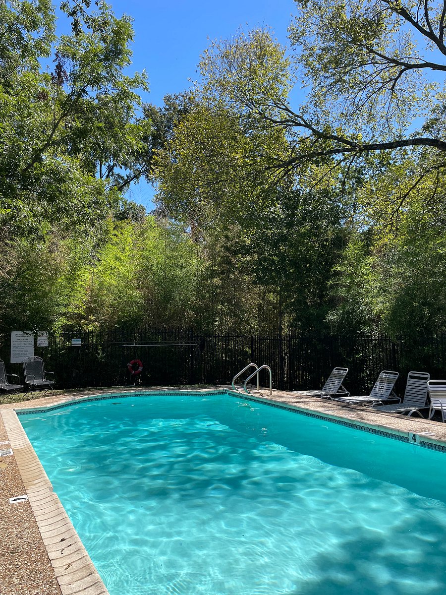 Furnished Finder property 739161_1 photo 33