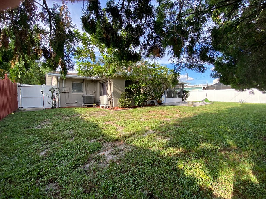 Backyard