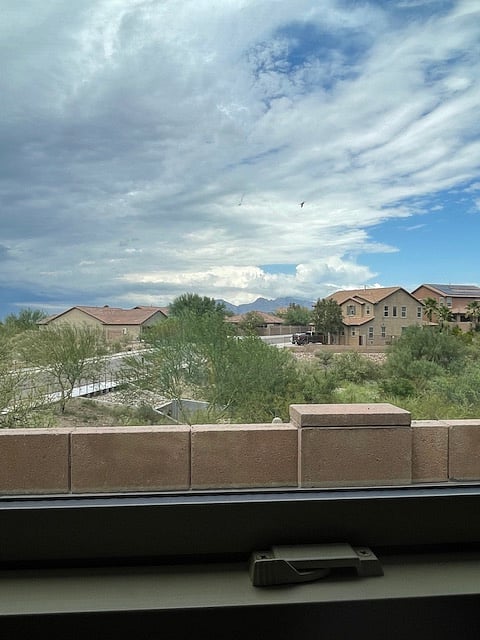 Neighborhood view