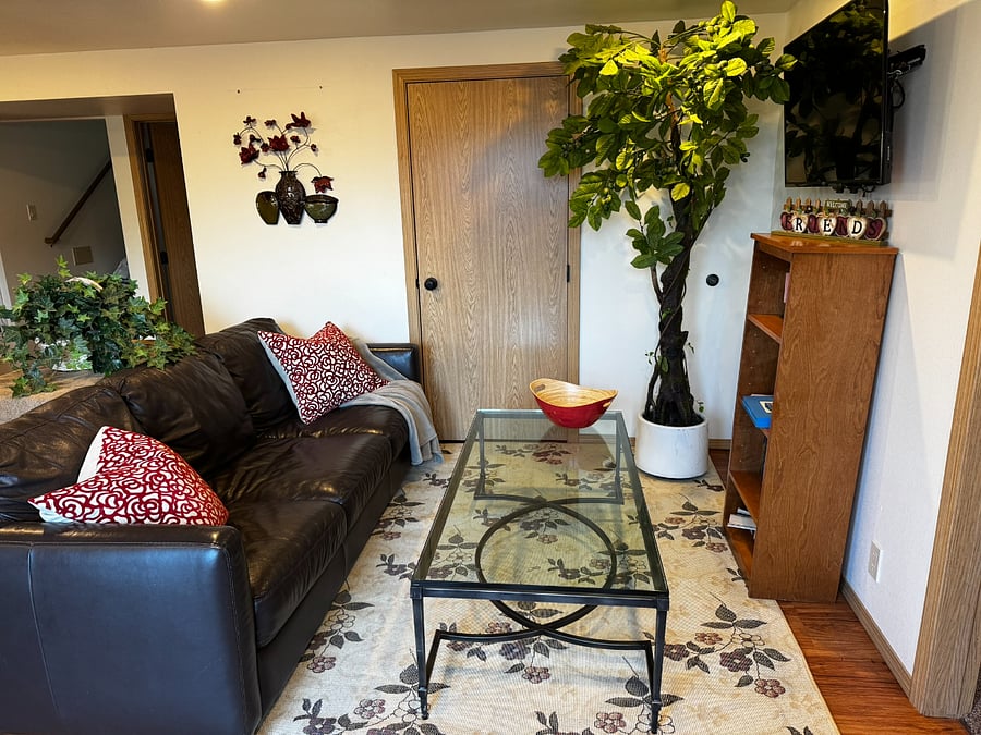 Lower Level living room as you enter from the Private Parking Area.
