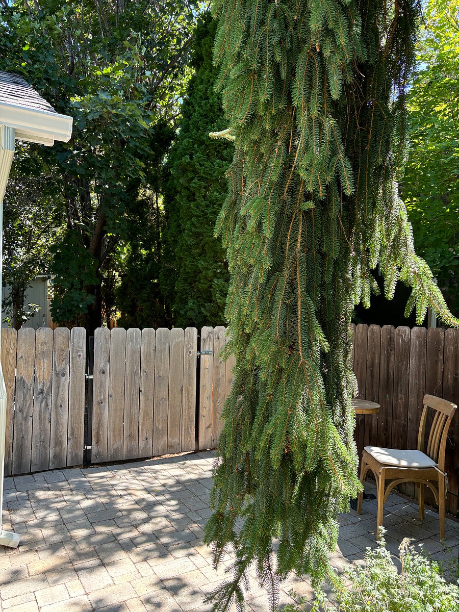 Patio area.