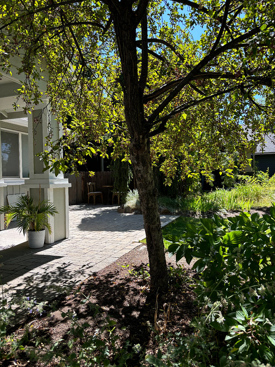 View from main entrance towards patio area.