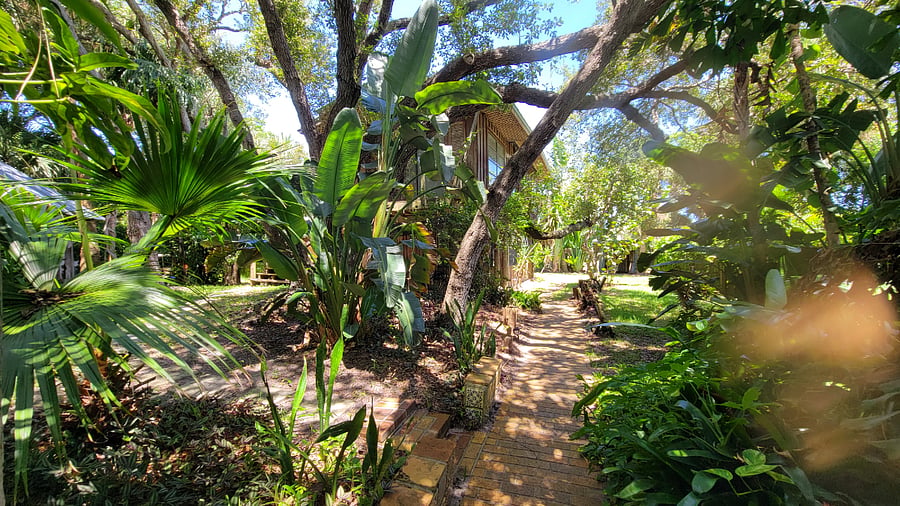 Furnished Finder property 739670_2 photo 24