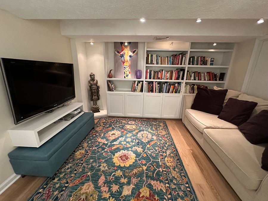 Finished basement/TV room with bathroom and comfortable pull out sofa - can be used as den, roommate's separate living area, or guest space for visitors