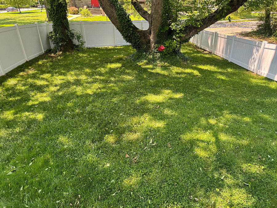 Furnished Finder property 739983_1 photo 15