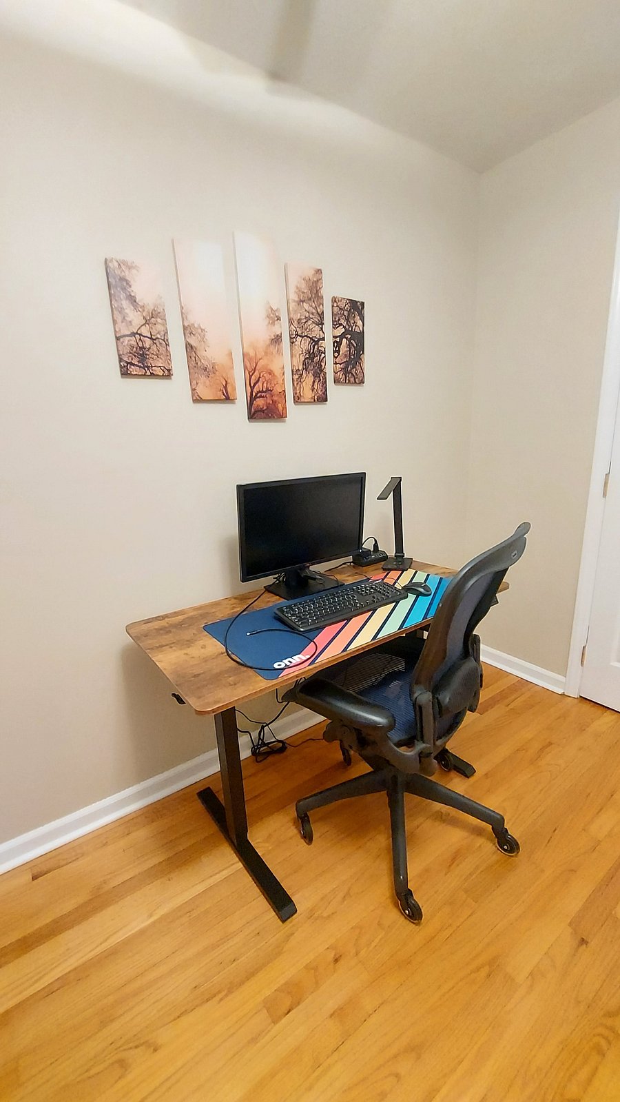 Private home office and reading room (converted 3rd bedroom), complete with sit/stand electric desk, comfortable office chair, monitor, and USB-C dock to connected laptop.