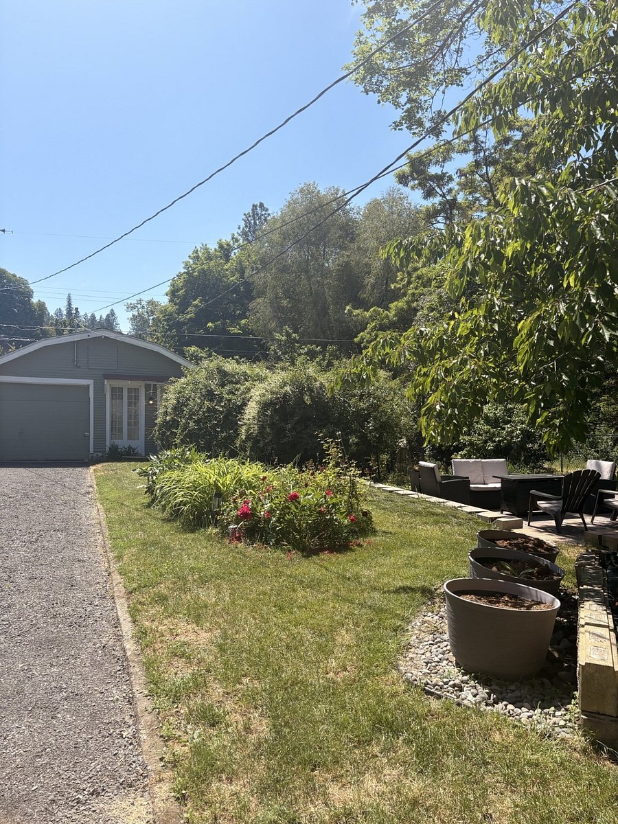 Backyard. Other structure is an ADU that is rented separately. 